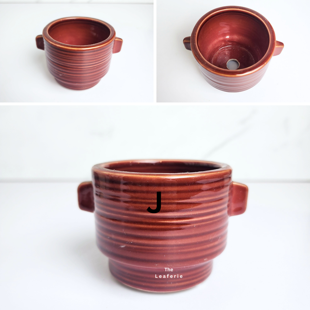 Petit Flowerpots (Series 17)