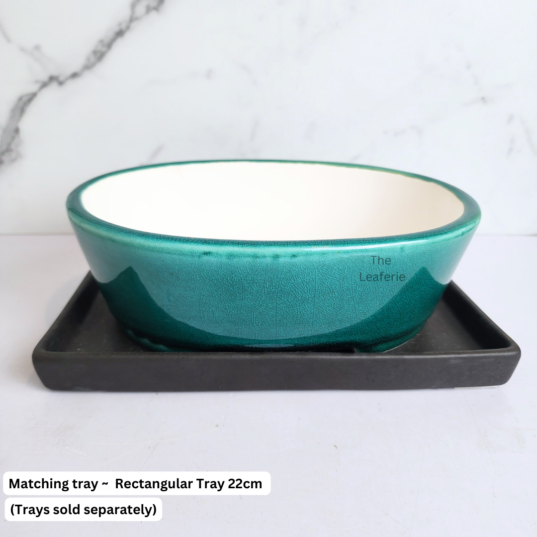 Bonsai Tally (Series 10 ) Oval Flowerpot