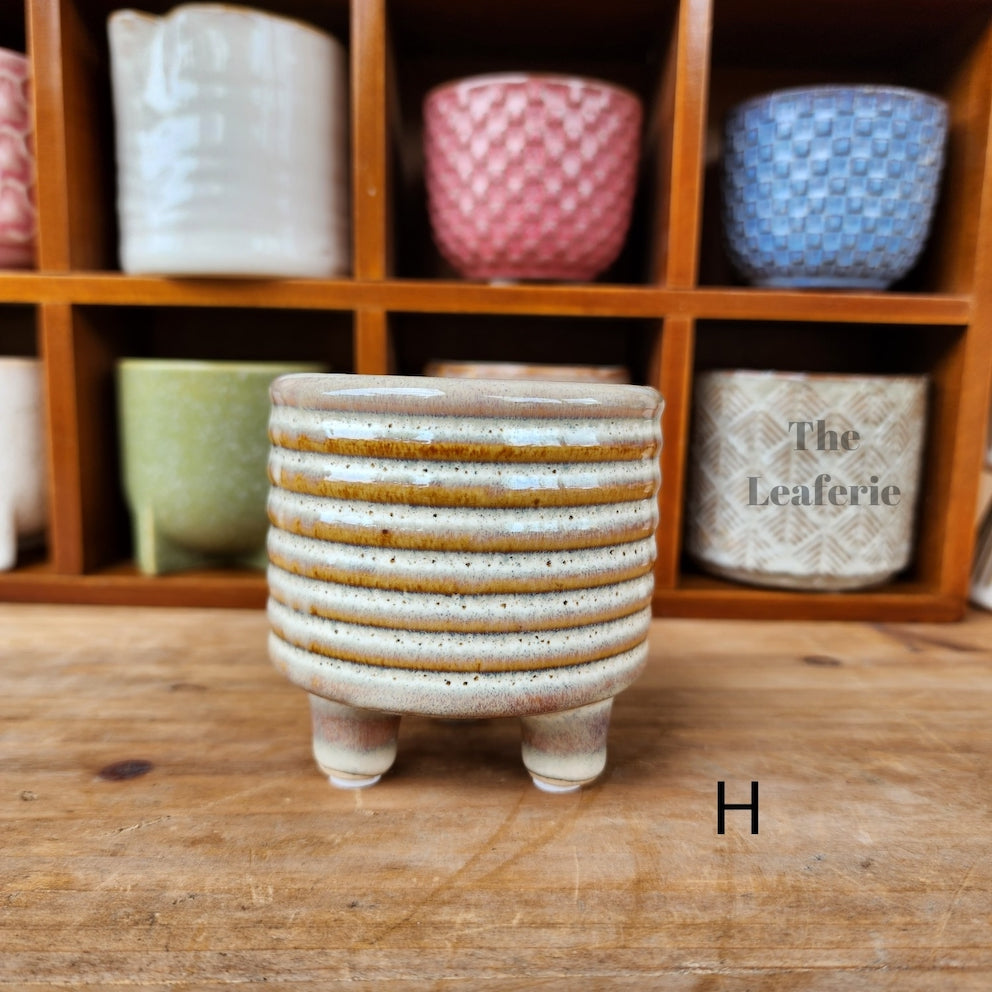 Petit Flowerpots (Series 7)