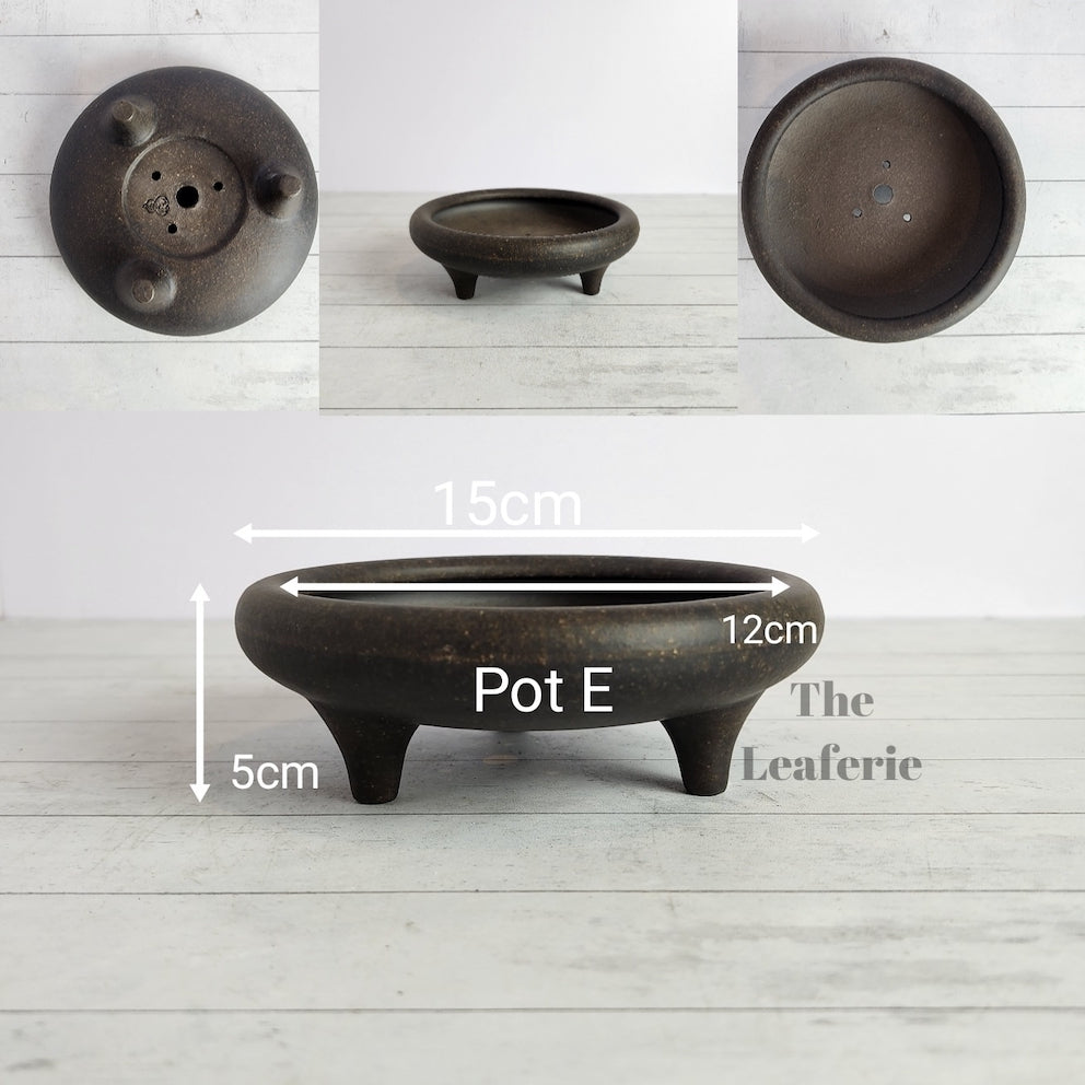 Petit Bonsai Tray / flowerpot (Series 4)