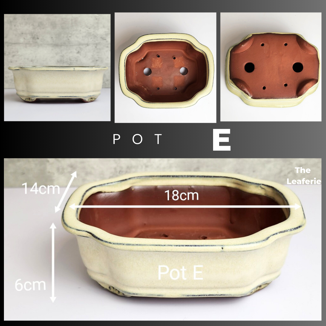 Bonsai Tally Flowerpot (Series 3)