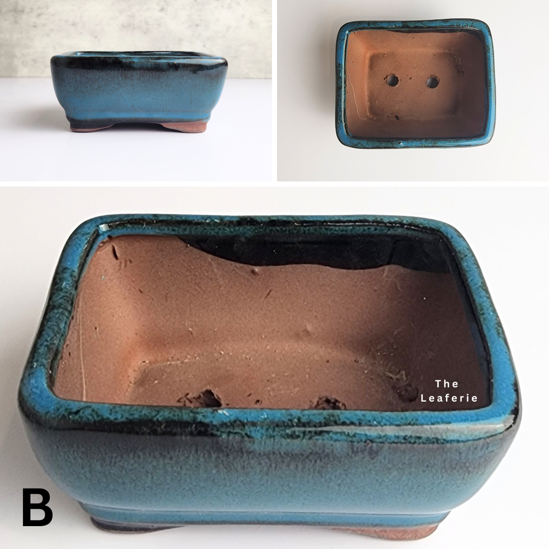 Bonsai Flowerpot (Series 33)