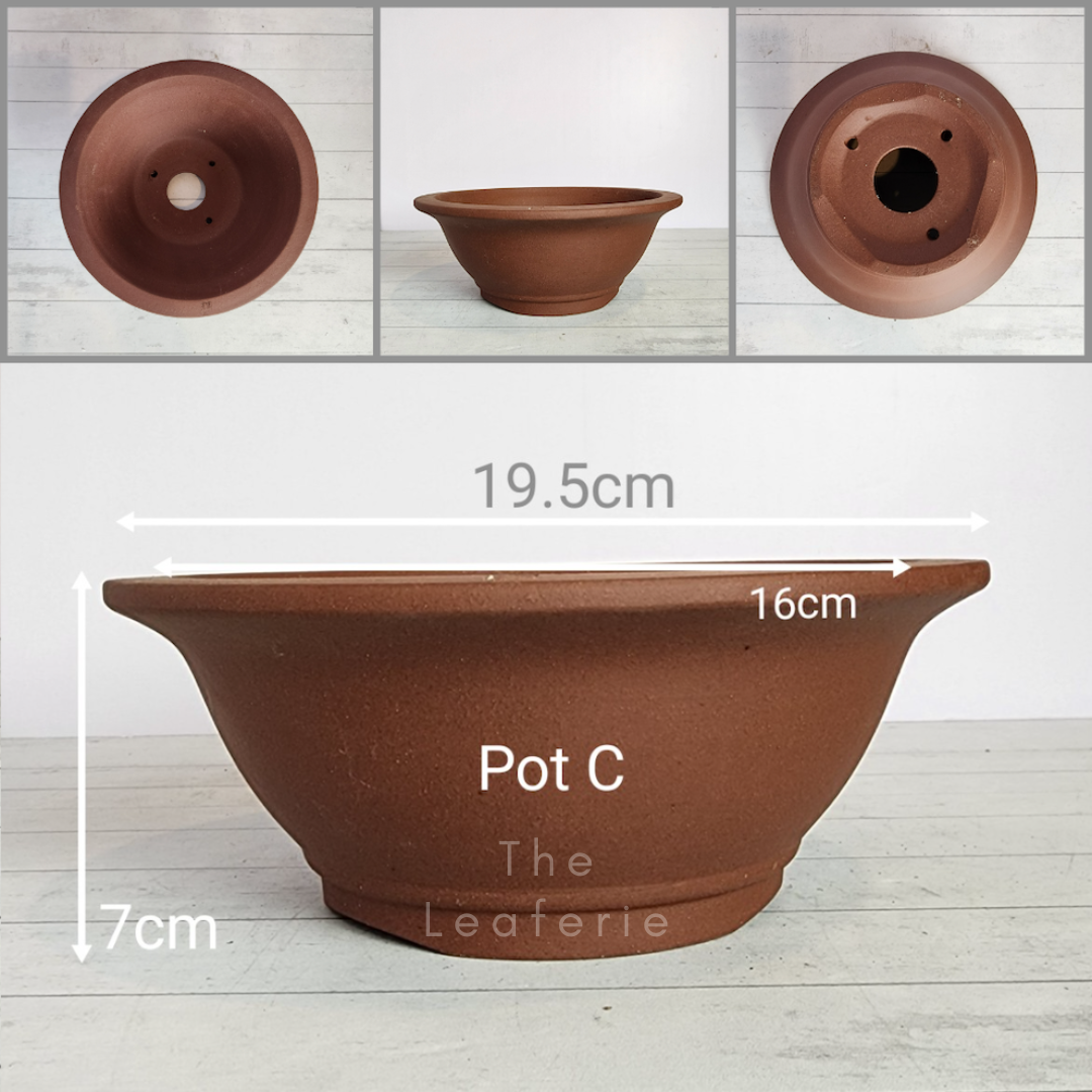 Tally Bonsai Flowerpot (Series 1)
