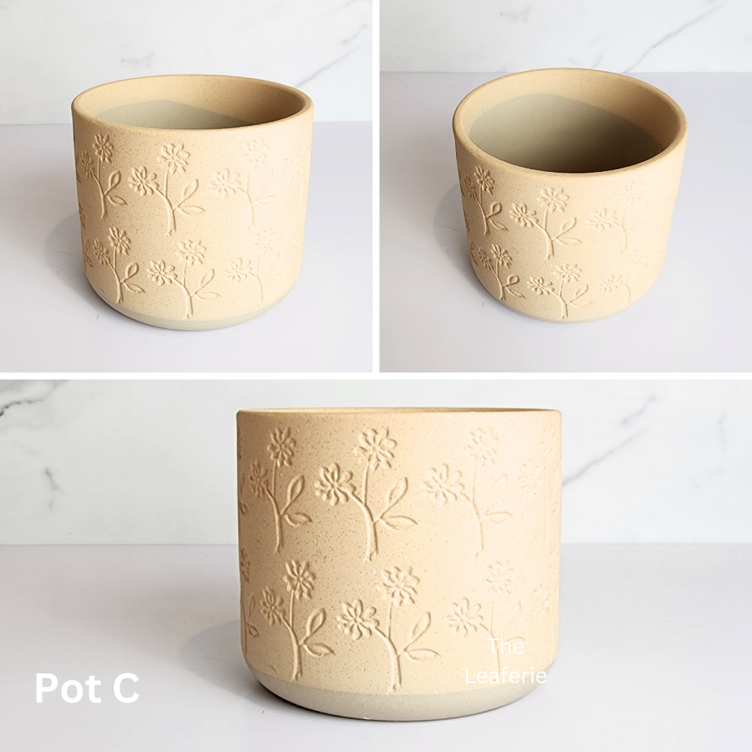 Mini Flowerpots (Series 10) 10cm