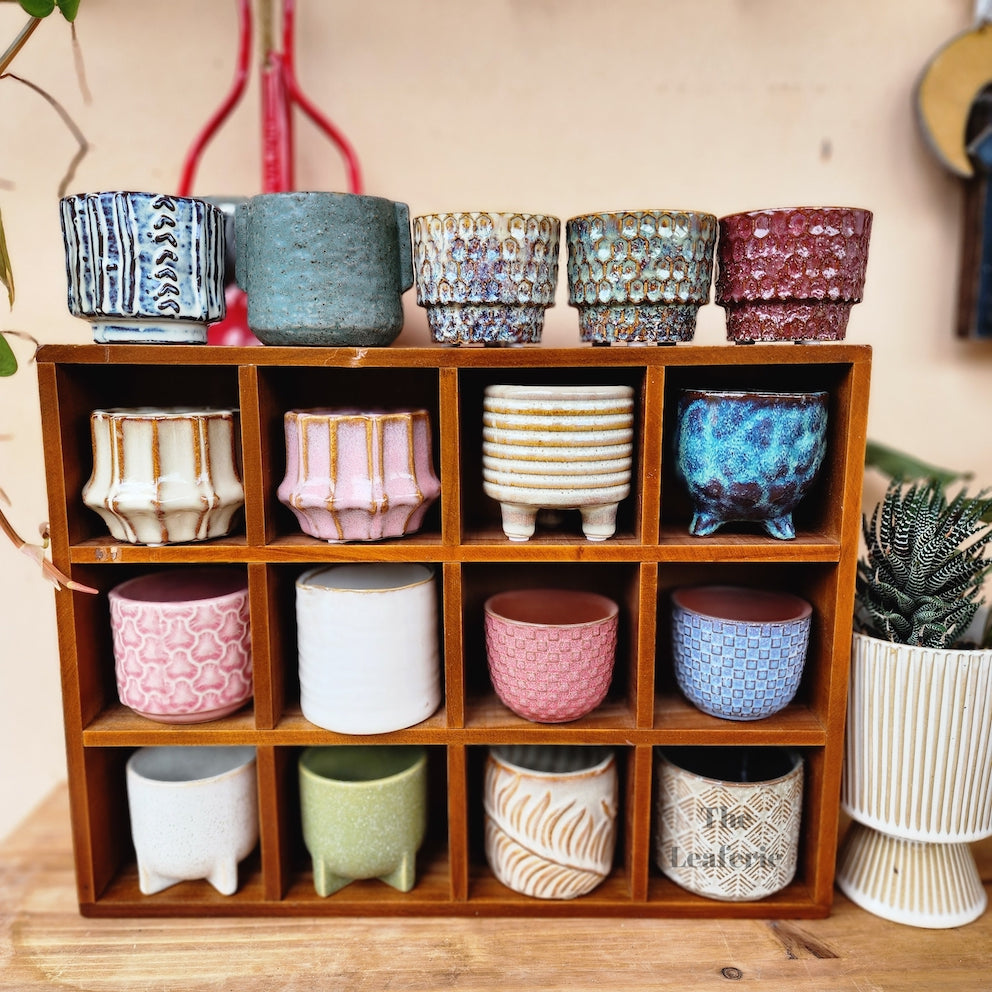 Petit Flowerpots (Series 7)