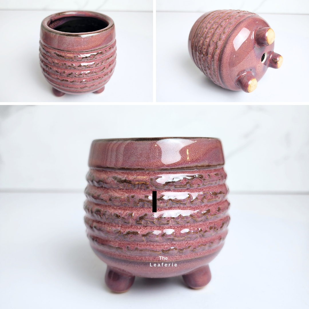 Petit Flowerpots (Series 16)