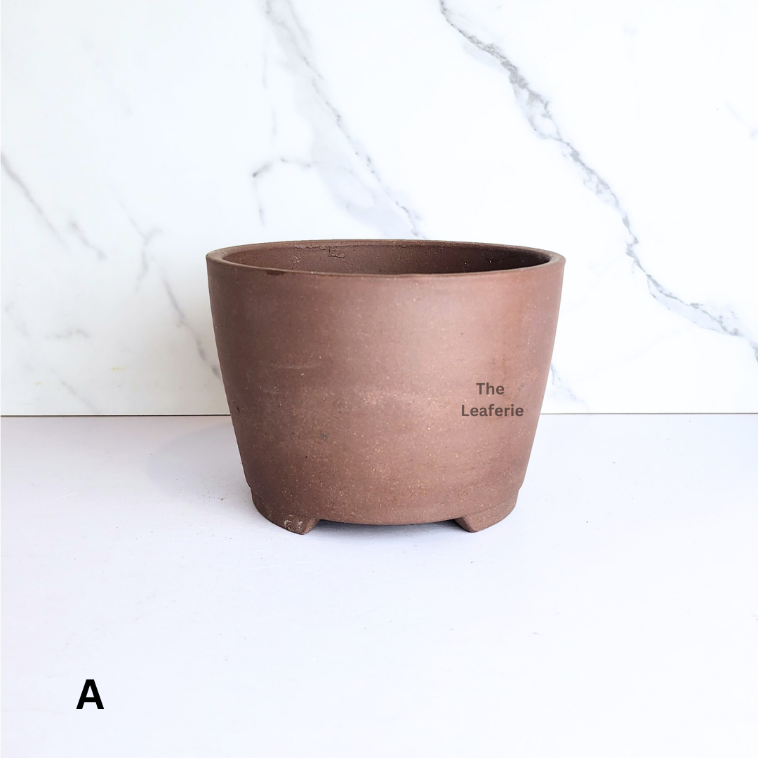 Bonsai Flowerpot (Series 68)