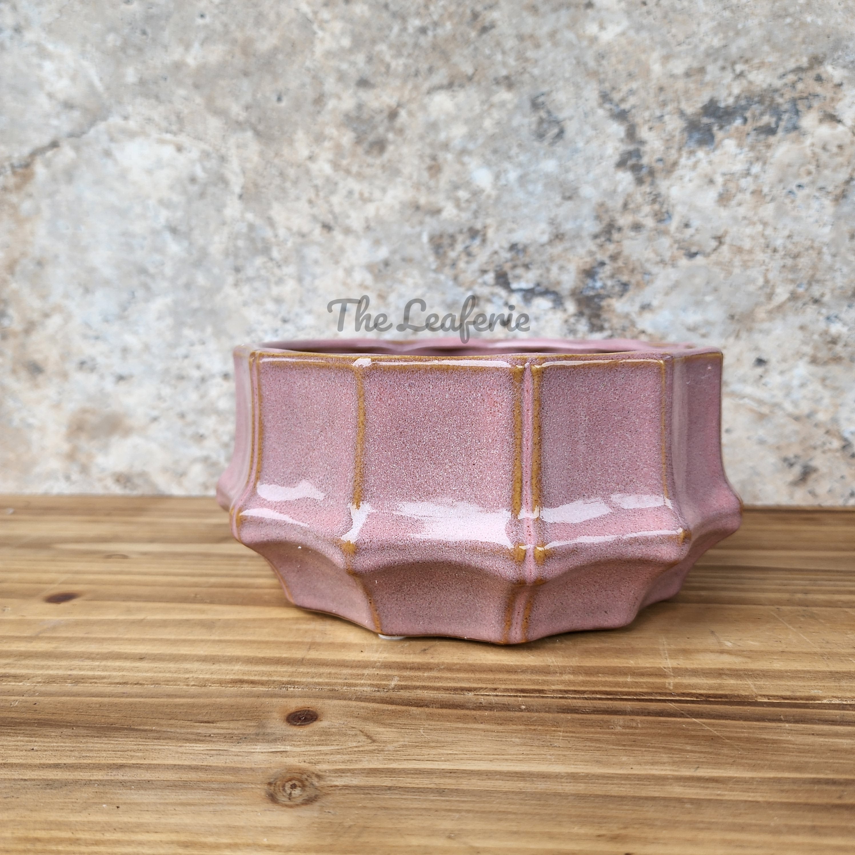 Knoxx Shallow Flowerpot