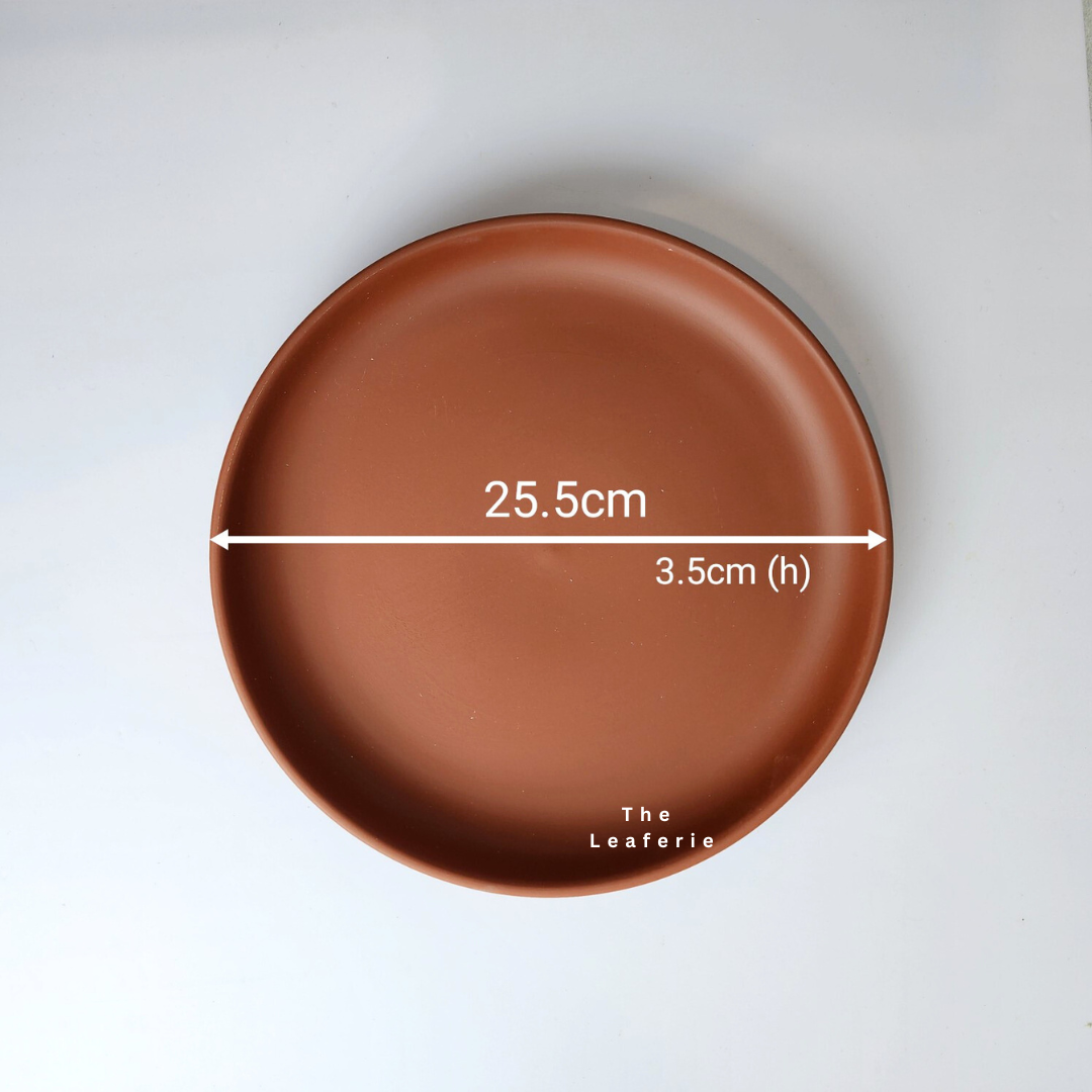 Zisha Large Trays (3 Colours)