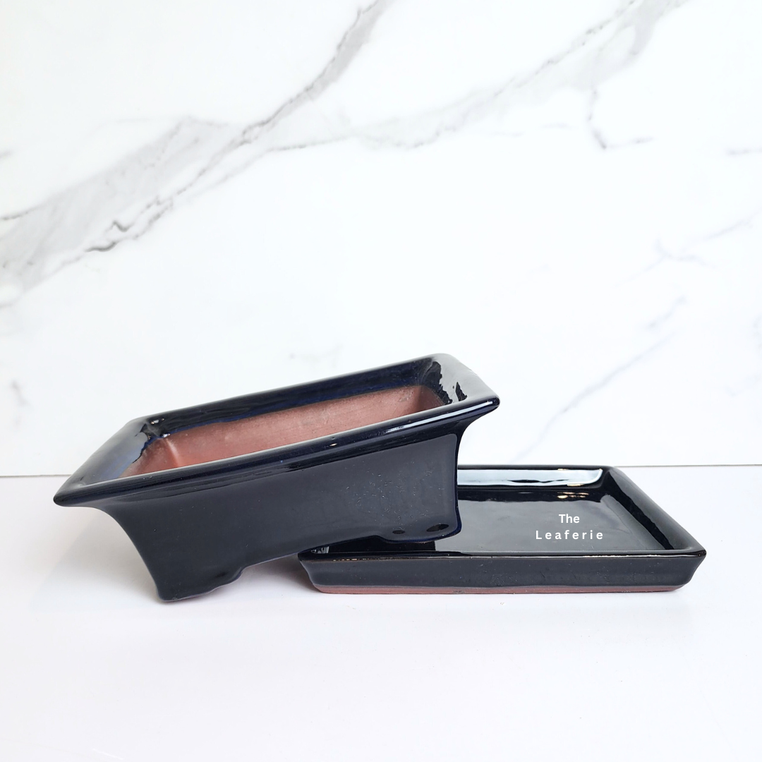 Bonsai Flowerpot (Series 40) with tray