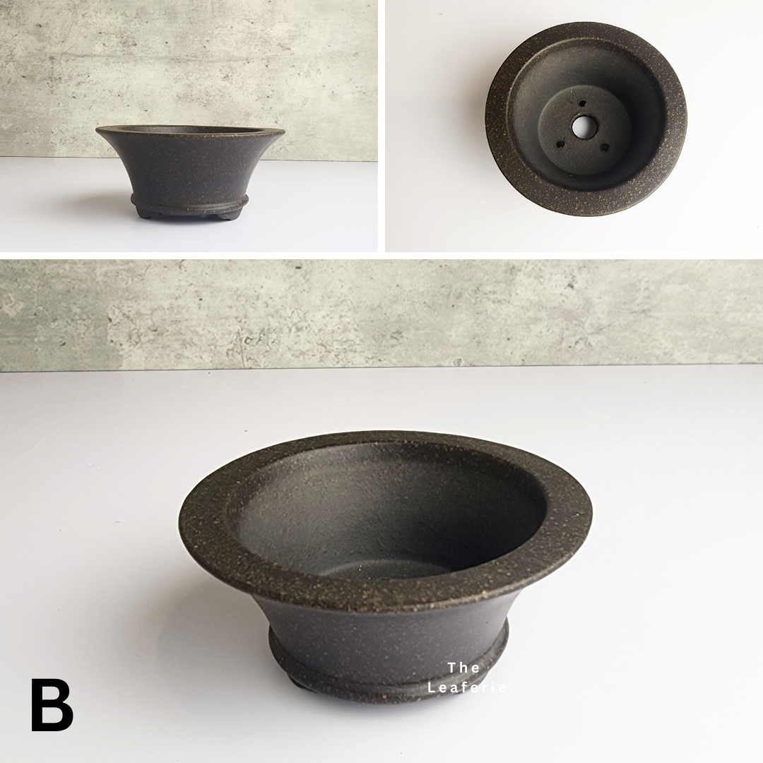 Bonsai Flowerpot (Series 34)