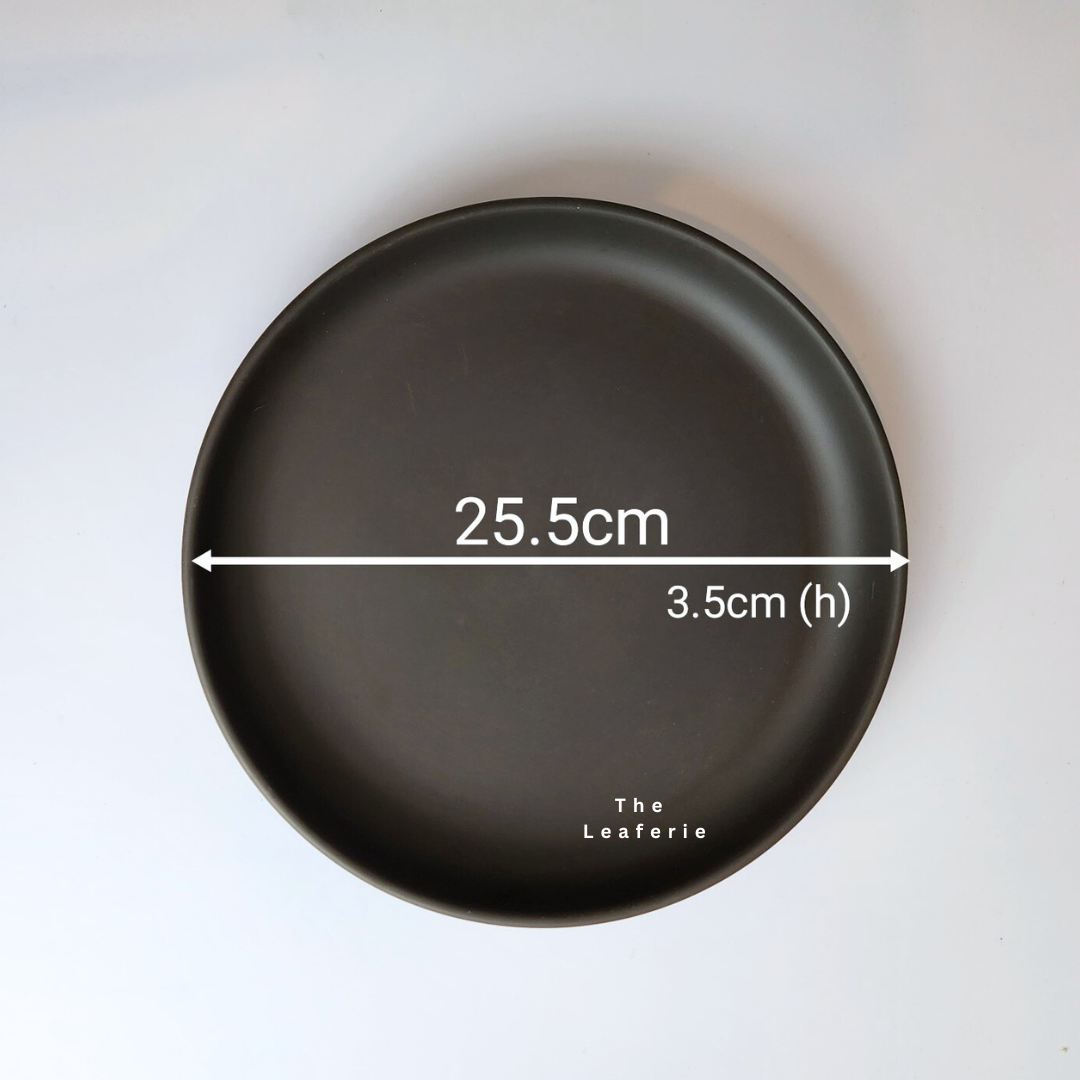 Zisha Large Trays (3 Colours)