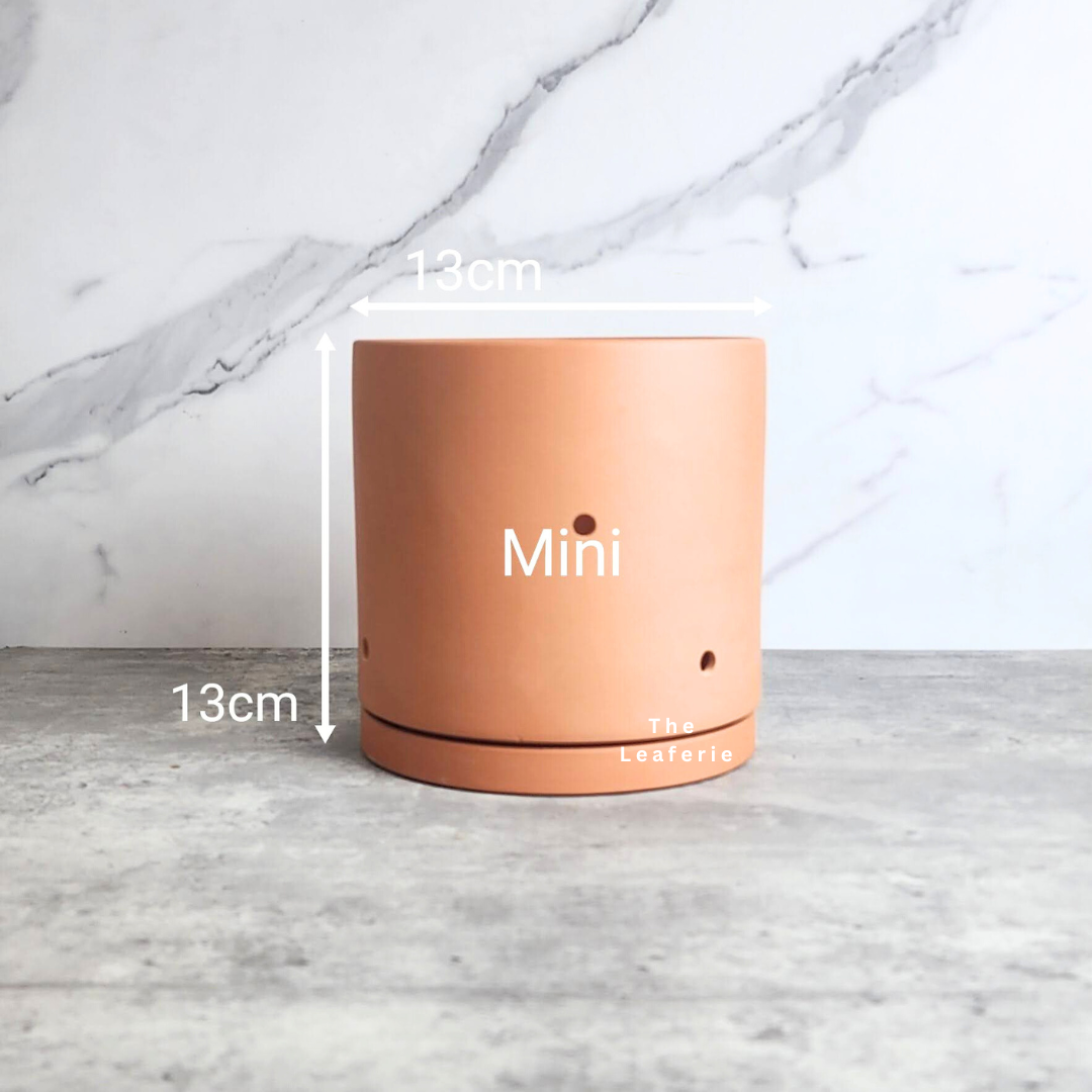 Terracotta Flowerpot G with Holes