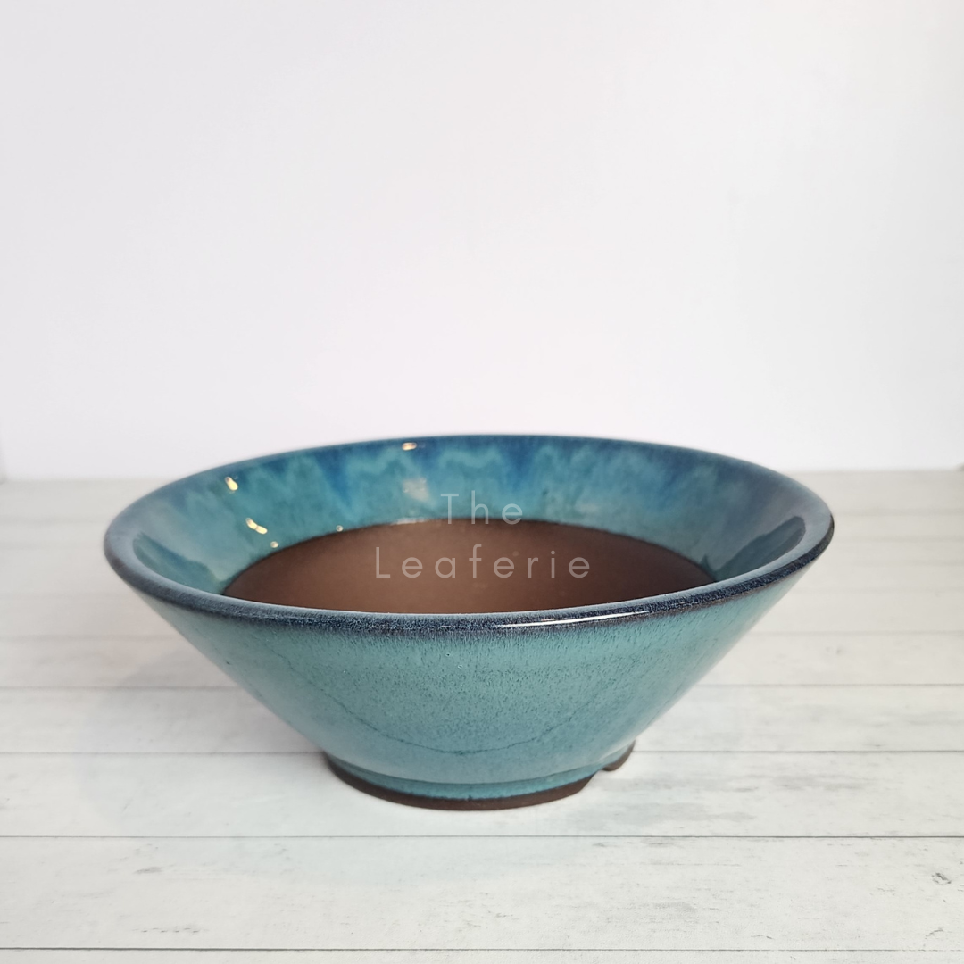 Tally Bonsai Flowerpot (Series 1)