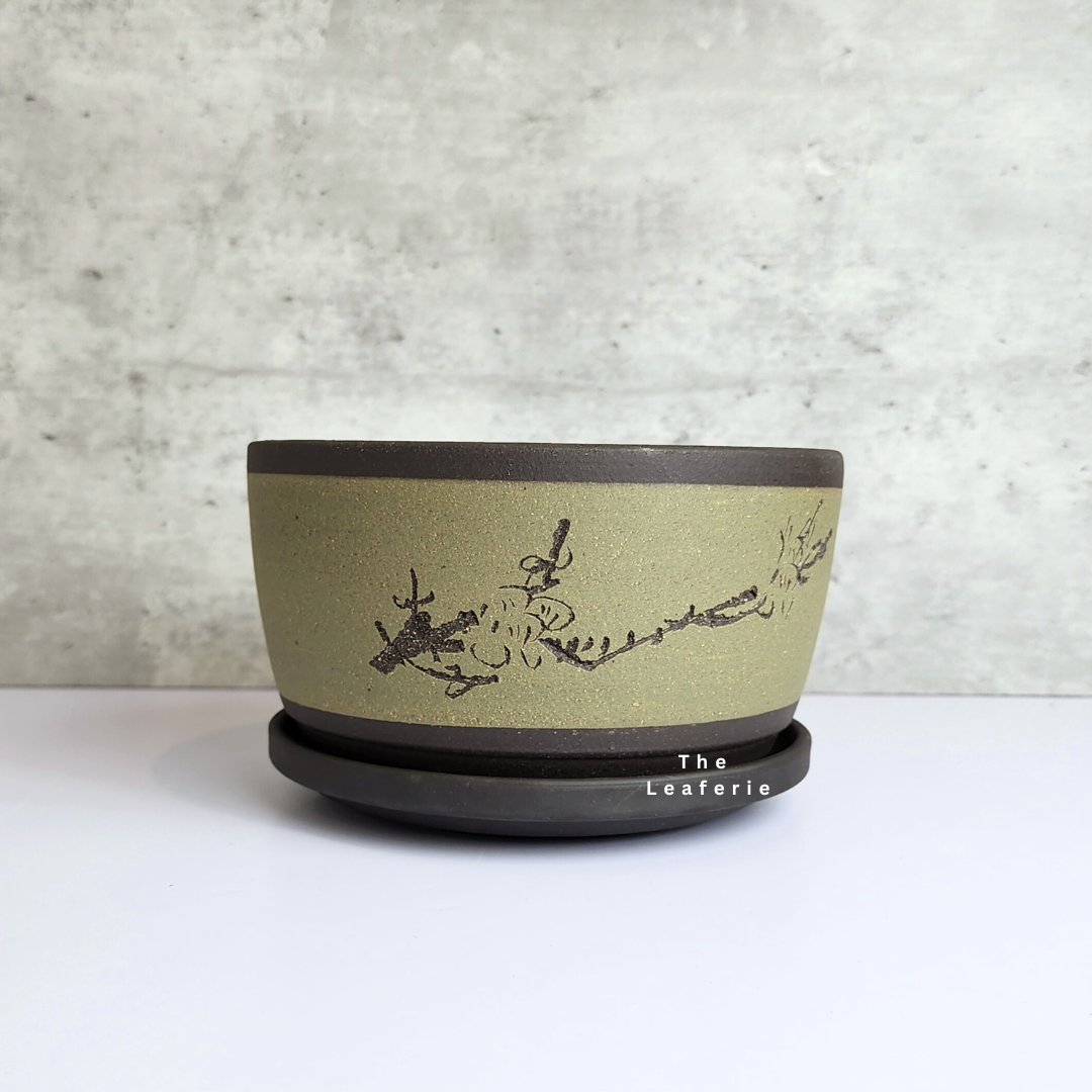 Zisha Large Trays (3 Colours)