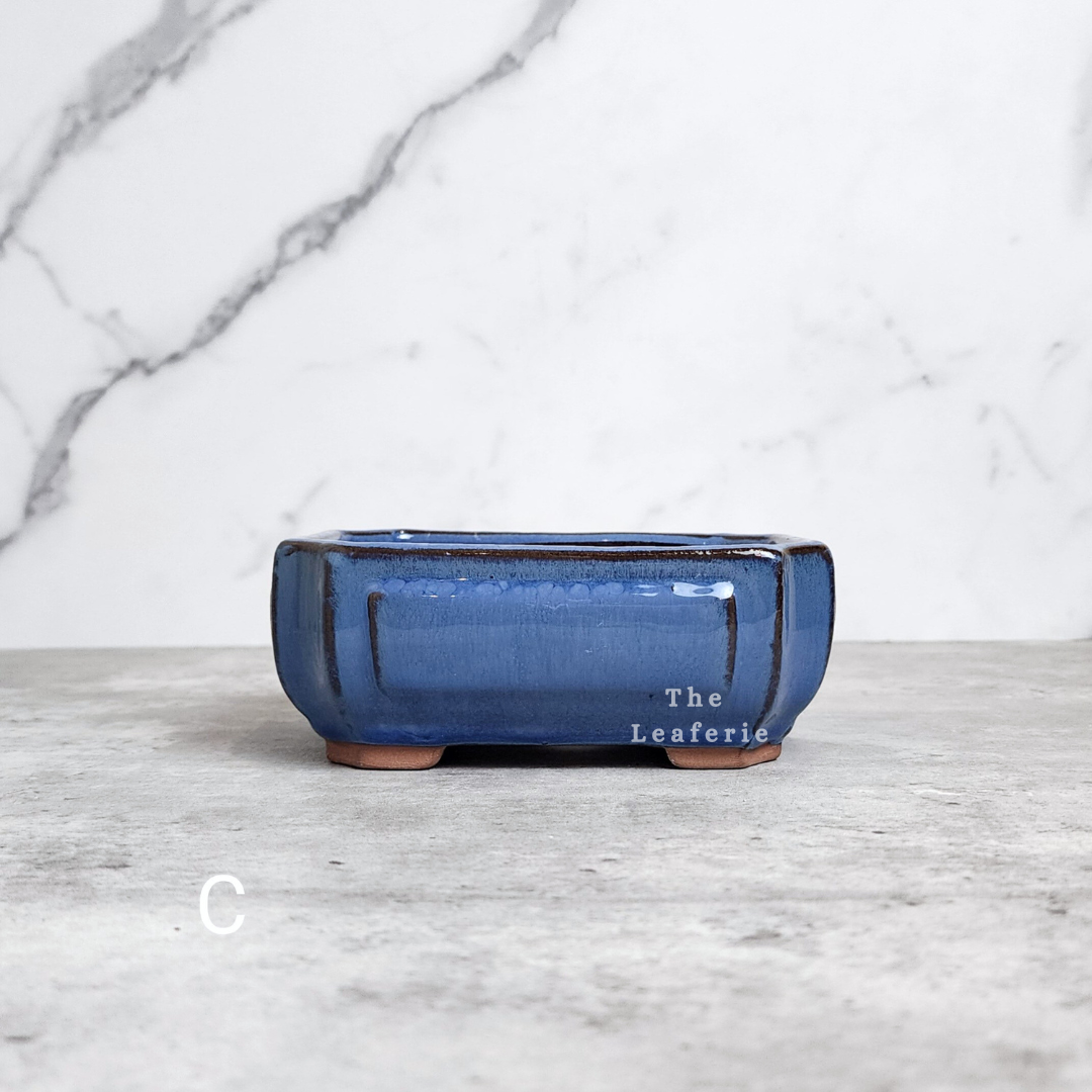 Bonsai Flowerpot (Series 22)