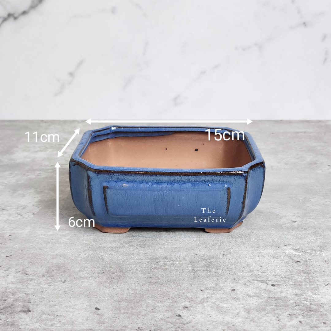 Bonsai Flowerpot (Series 22)