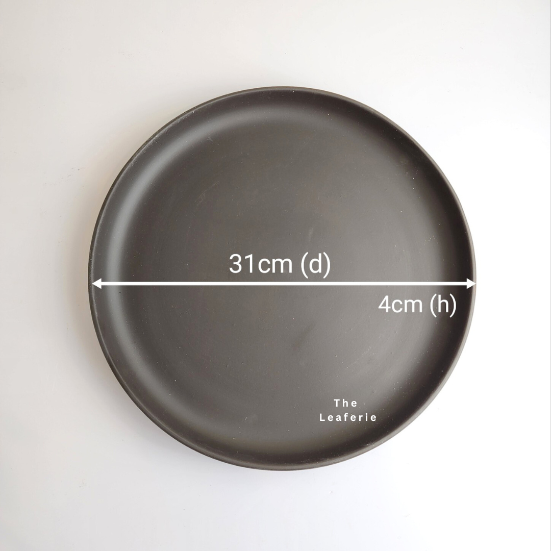 Zisha Large Trays (3 Colours)