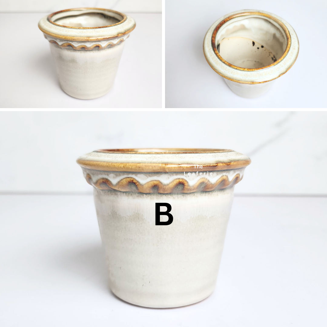 Petit Flowerpots (Series 16)