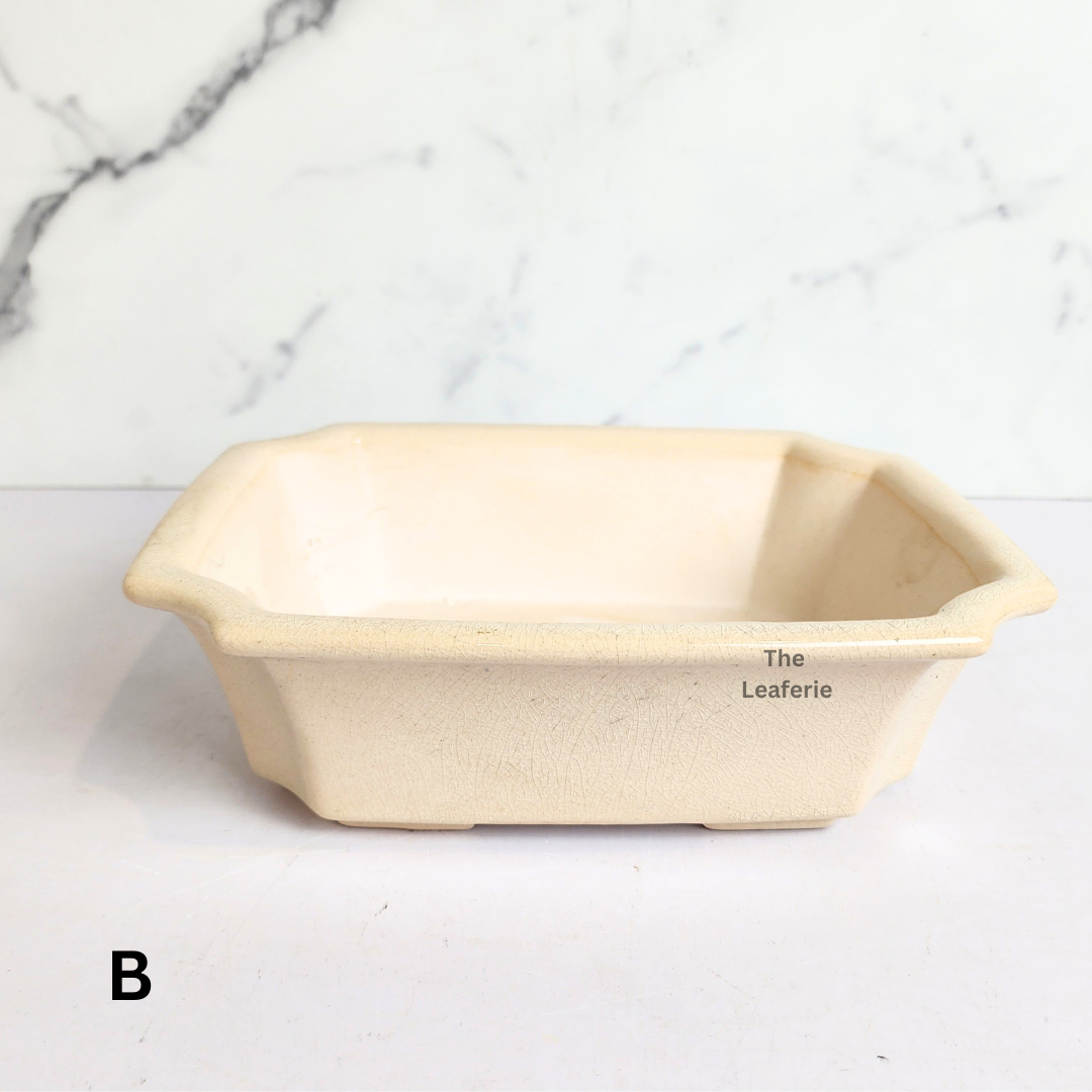 Bonsai Tally (Series 11) Flowerpot