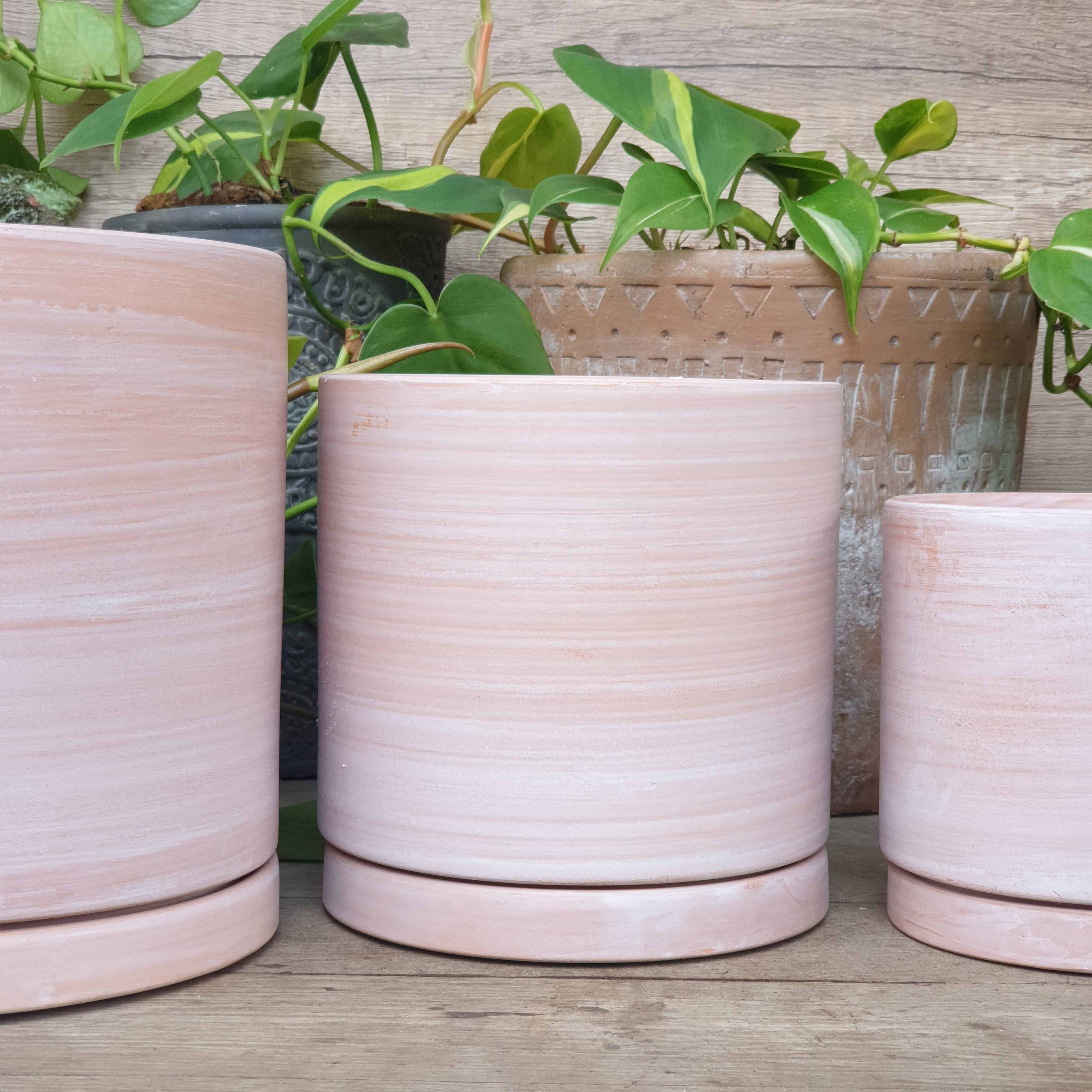 Terracotta D Flowerpot (3 sizes)