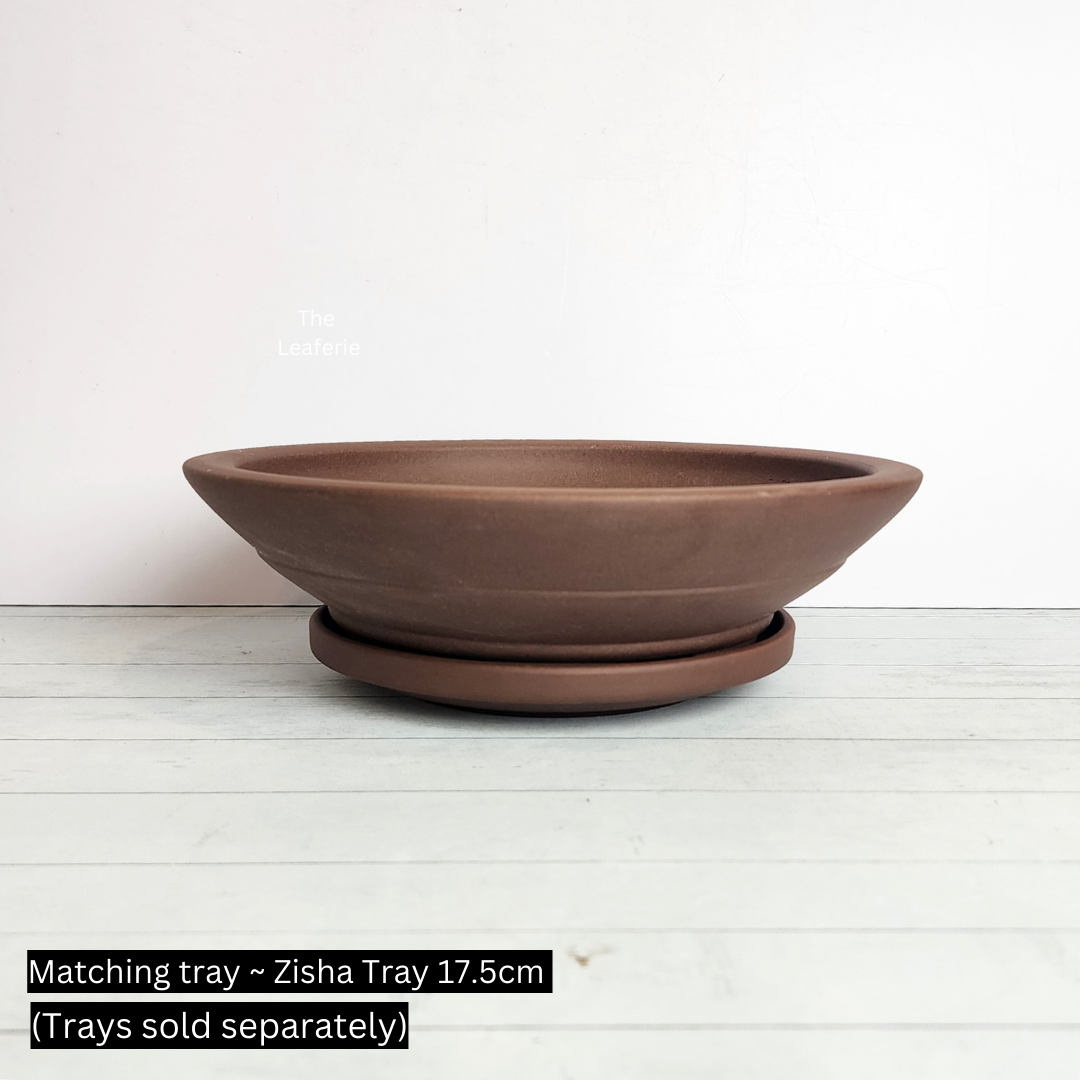 Bonsai Flowerpot / Tray (Series 5) 5 Sizes