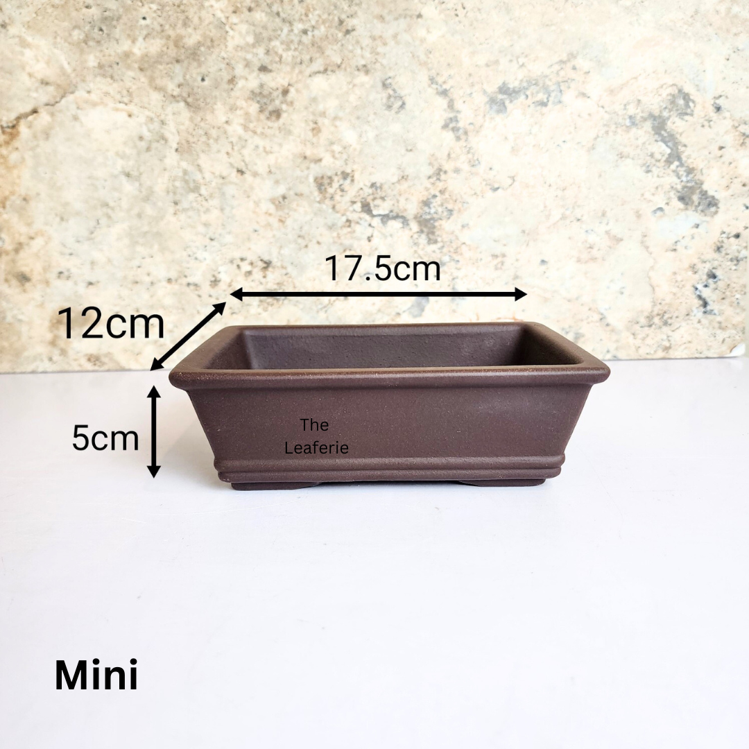 Bonsai Rectangular (Series 3) Flowerpot