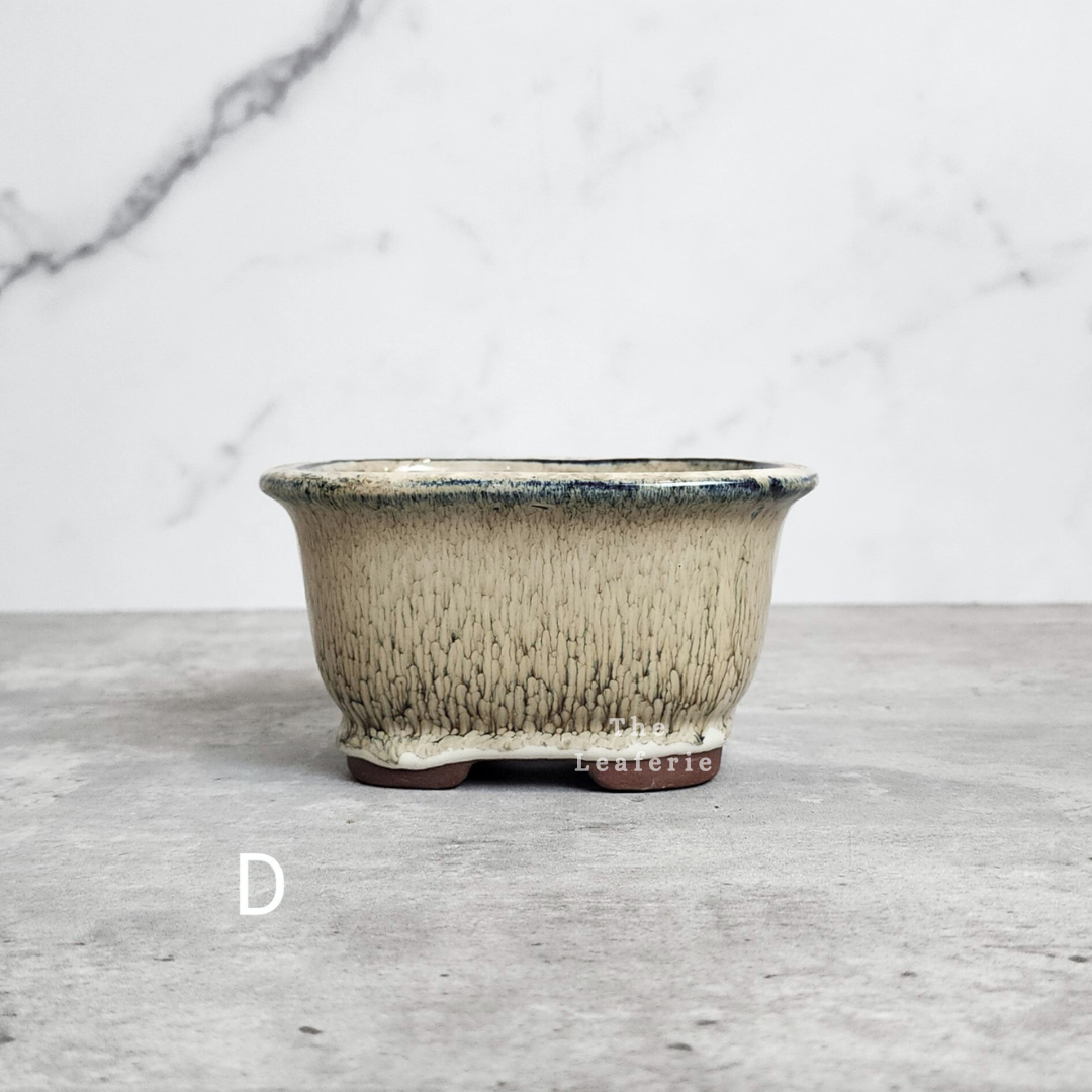 Bonsai Flowerpot (Series 24)