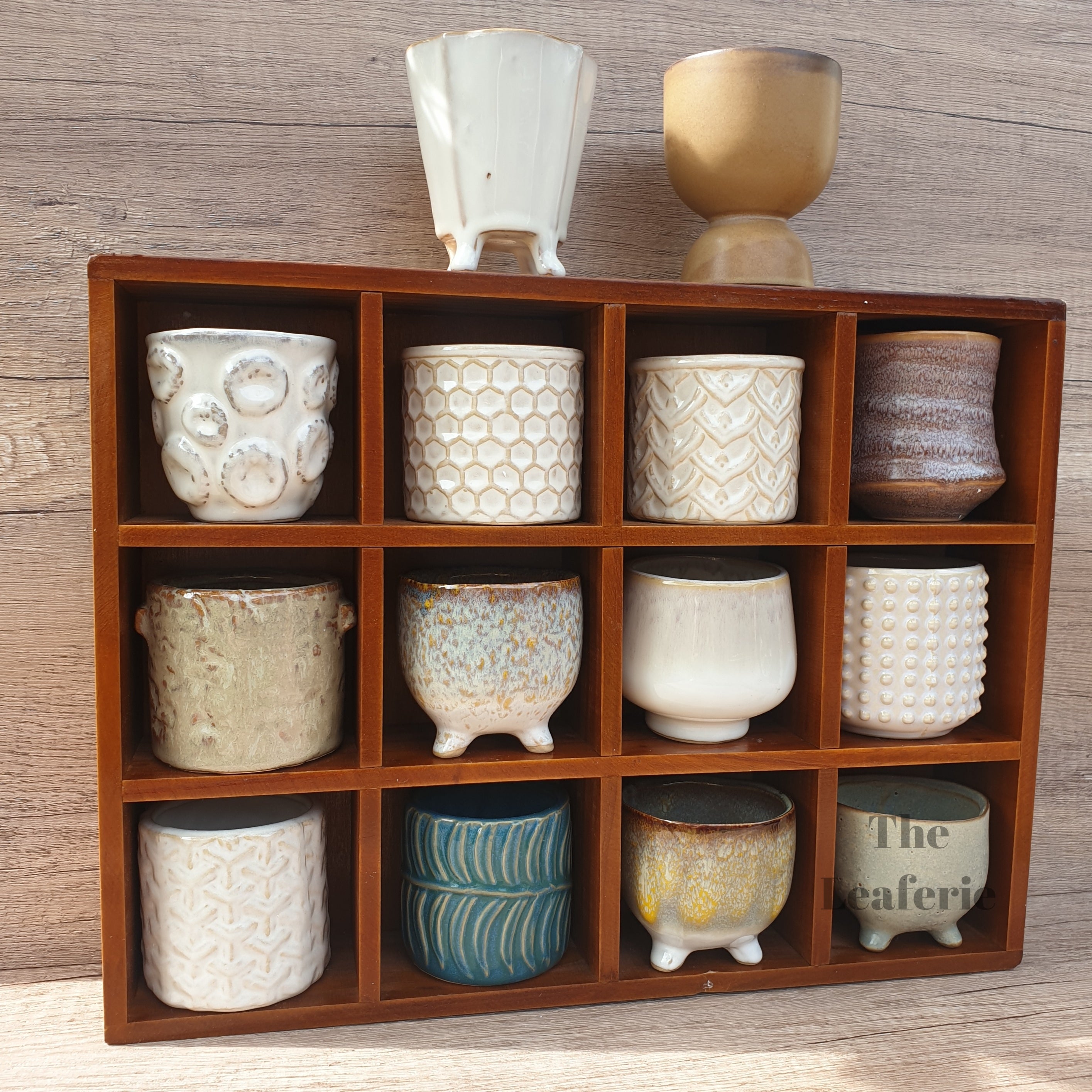 Petit Flowerpots (Series 3)