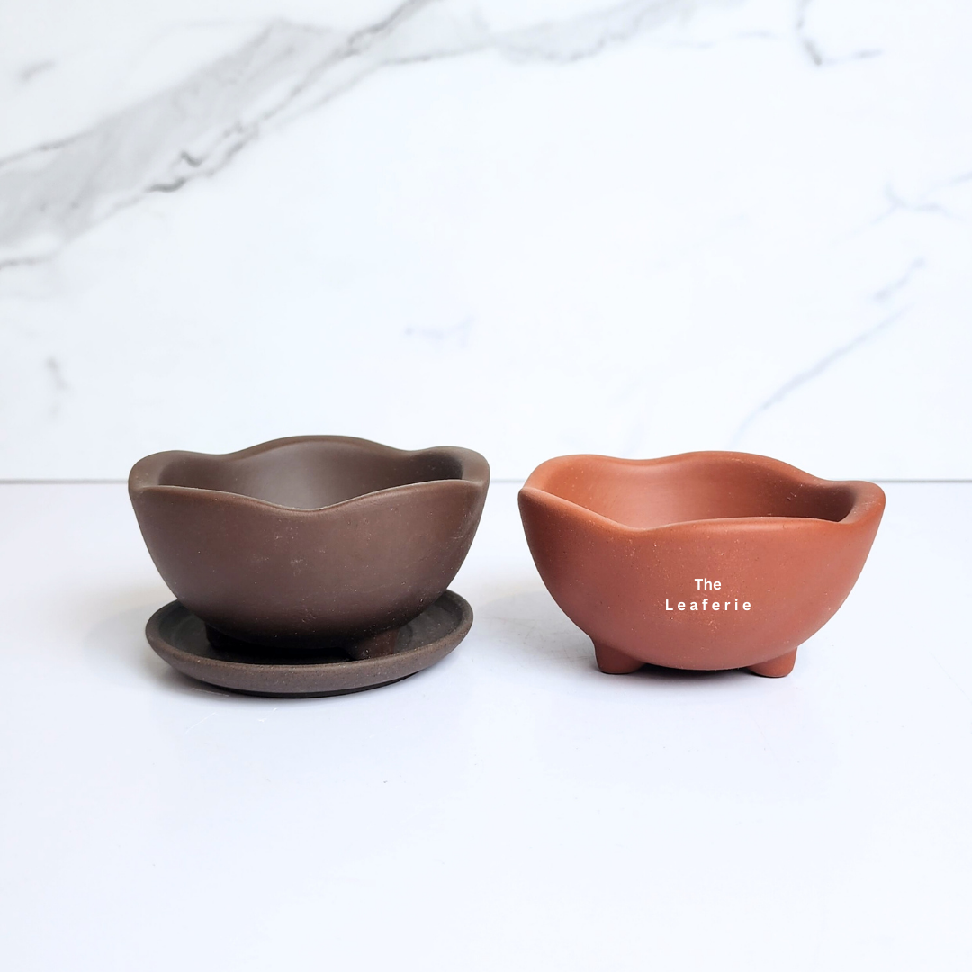 Petit Bonsai Flowerpots (Series 42) Set of 4 pots