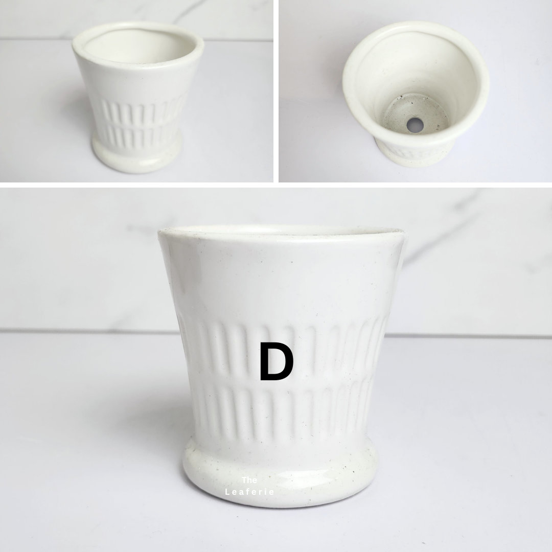 Petit Flowerpots (Series 14)