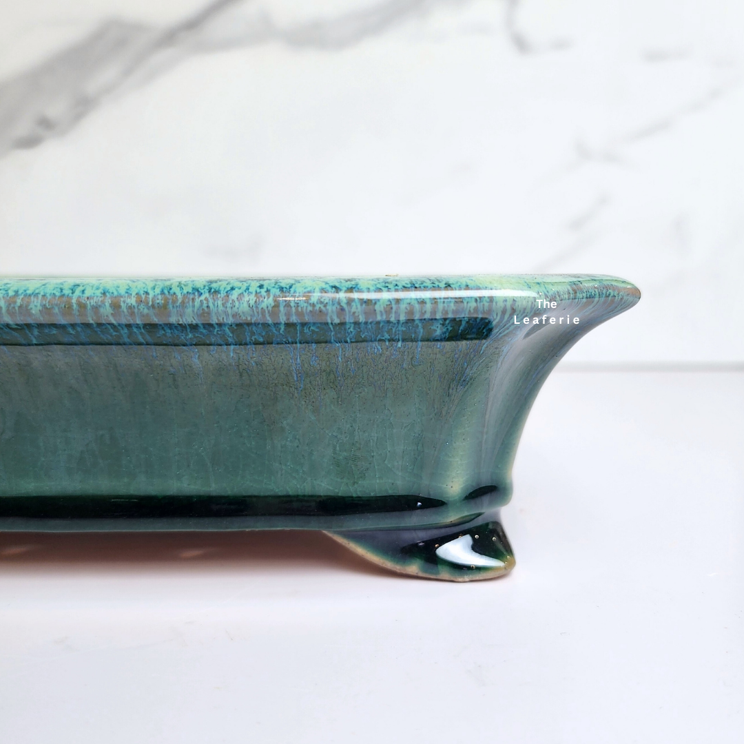 Bonsai Tally (Series 7) Flowerpot