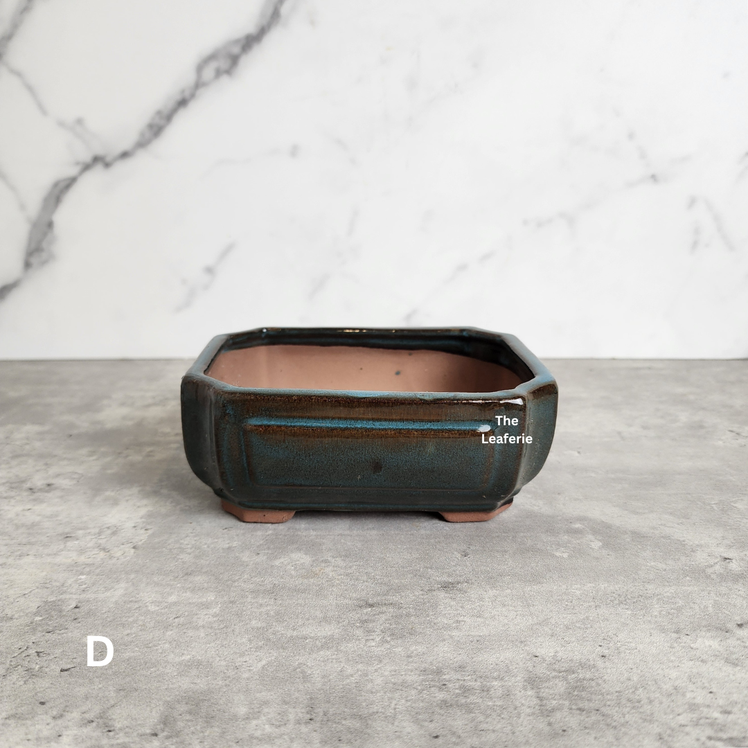 Bonsai Flowerpot (Series 22)