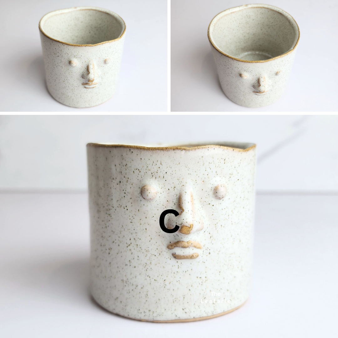 Petit Flowerpots (Series 13)