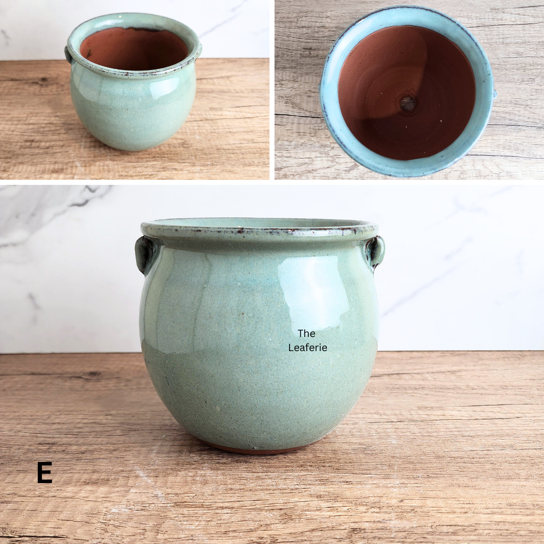 Sanrevelle Flowerpot (5 colours)