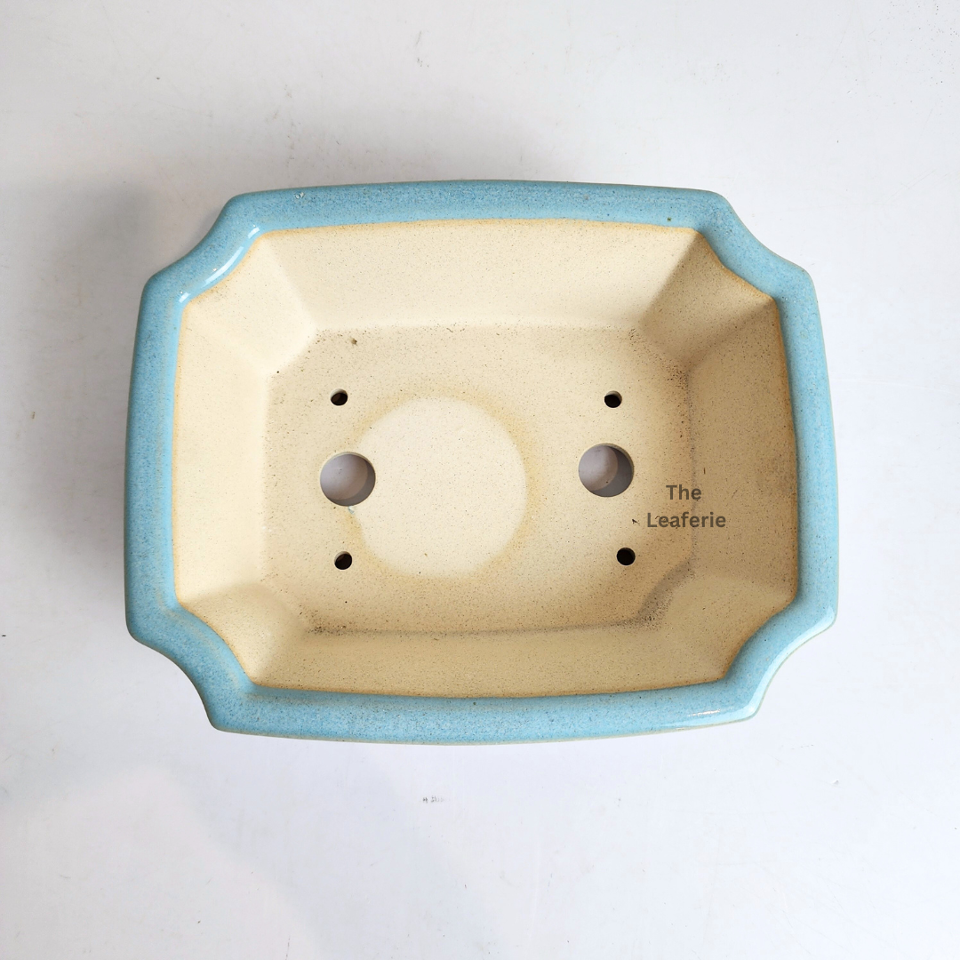 Bonsai Tally (Series 11) Flowerpot