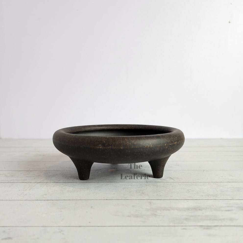Petit Bonsai Tray / flowerpot (Series 4)