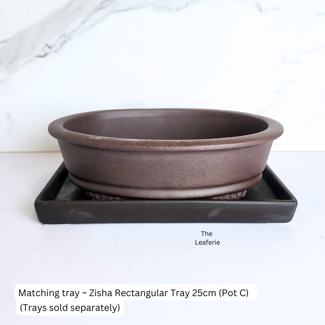 Bonsai Flowerpot (Series 72)