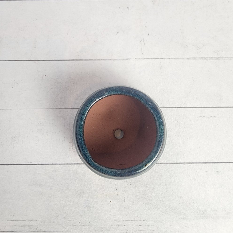 Petit Bonsai Pot (Series 5)