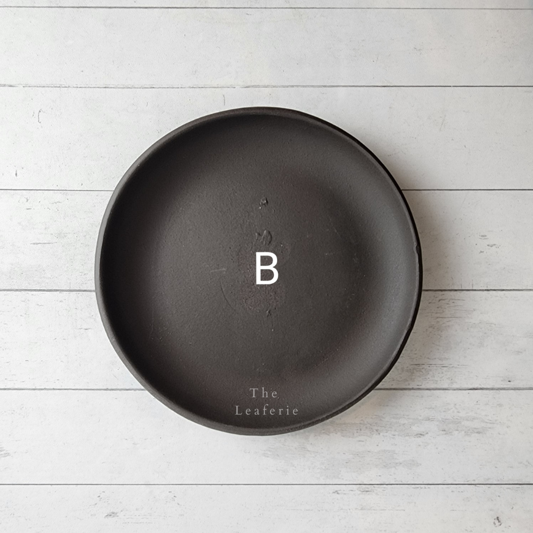 Zisha Trays (6 Sizes - Suitable for Bonsai Pots/Trays)