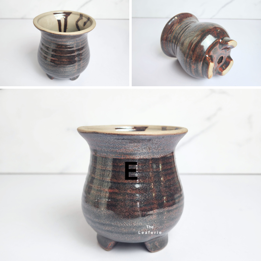 Petit Flowerpots (Series 14)