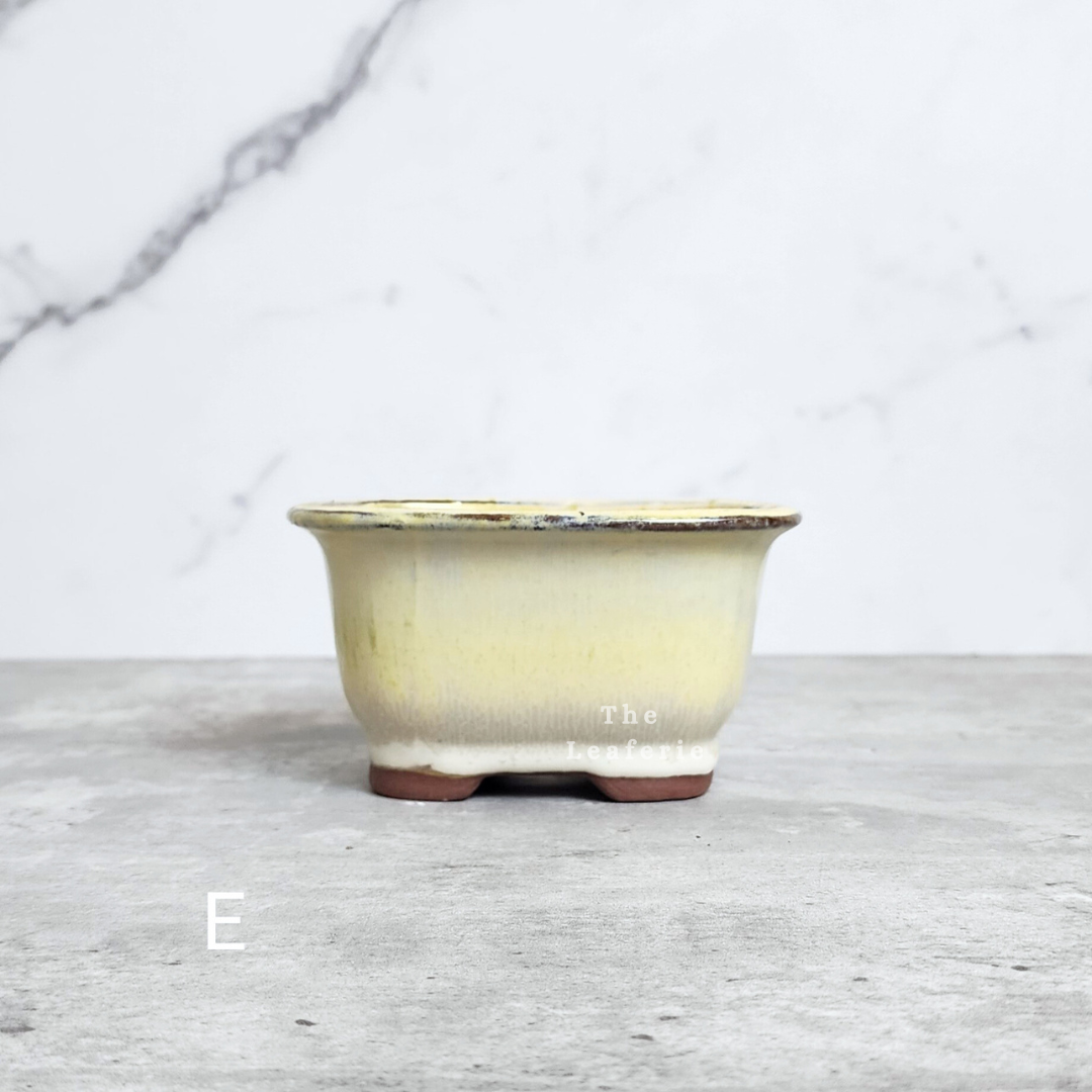 Bonsai Flowerpot (Series 24)