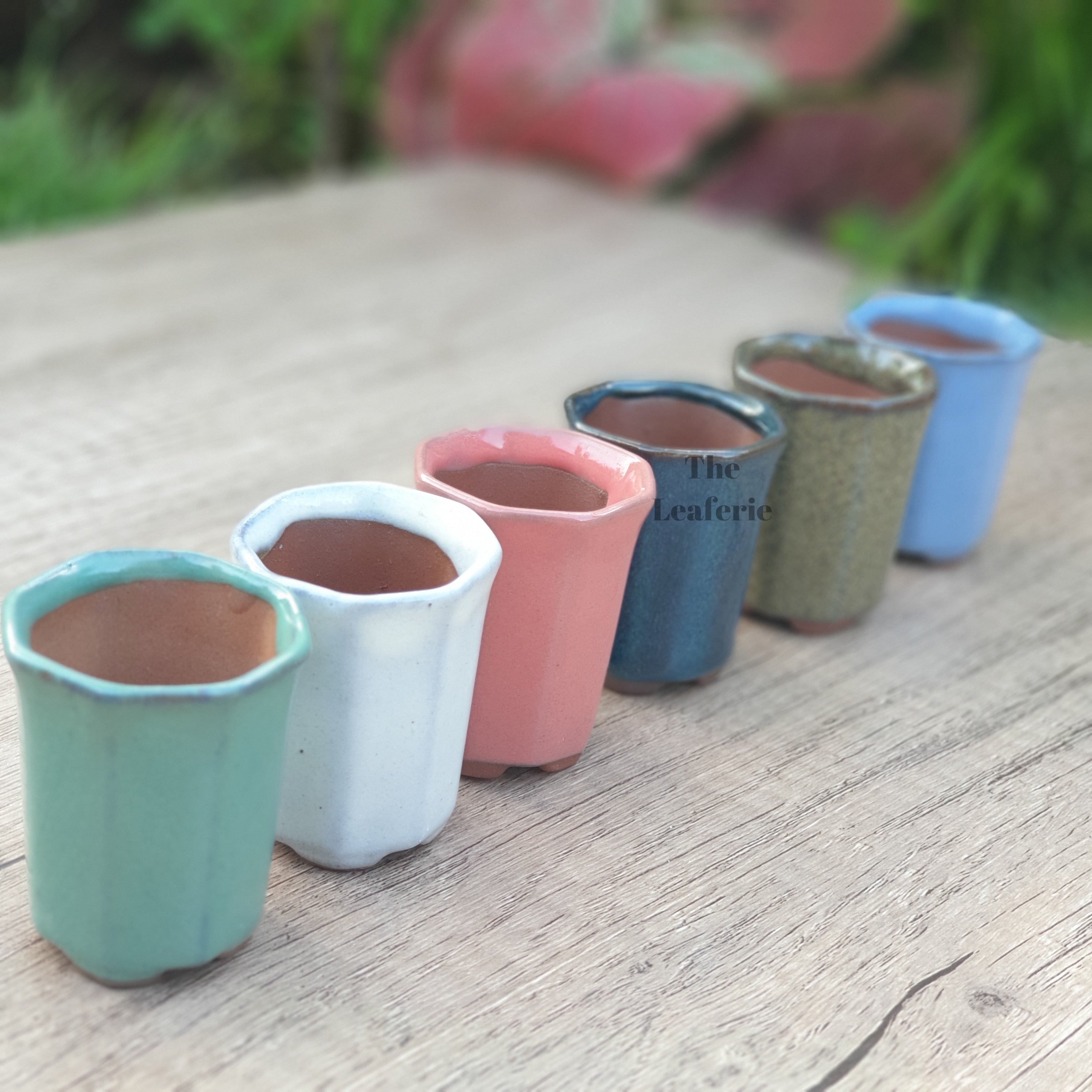 Petit Bonsai Pot (Series 7)