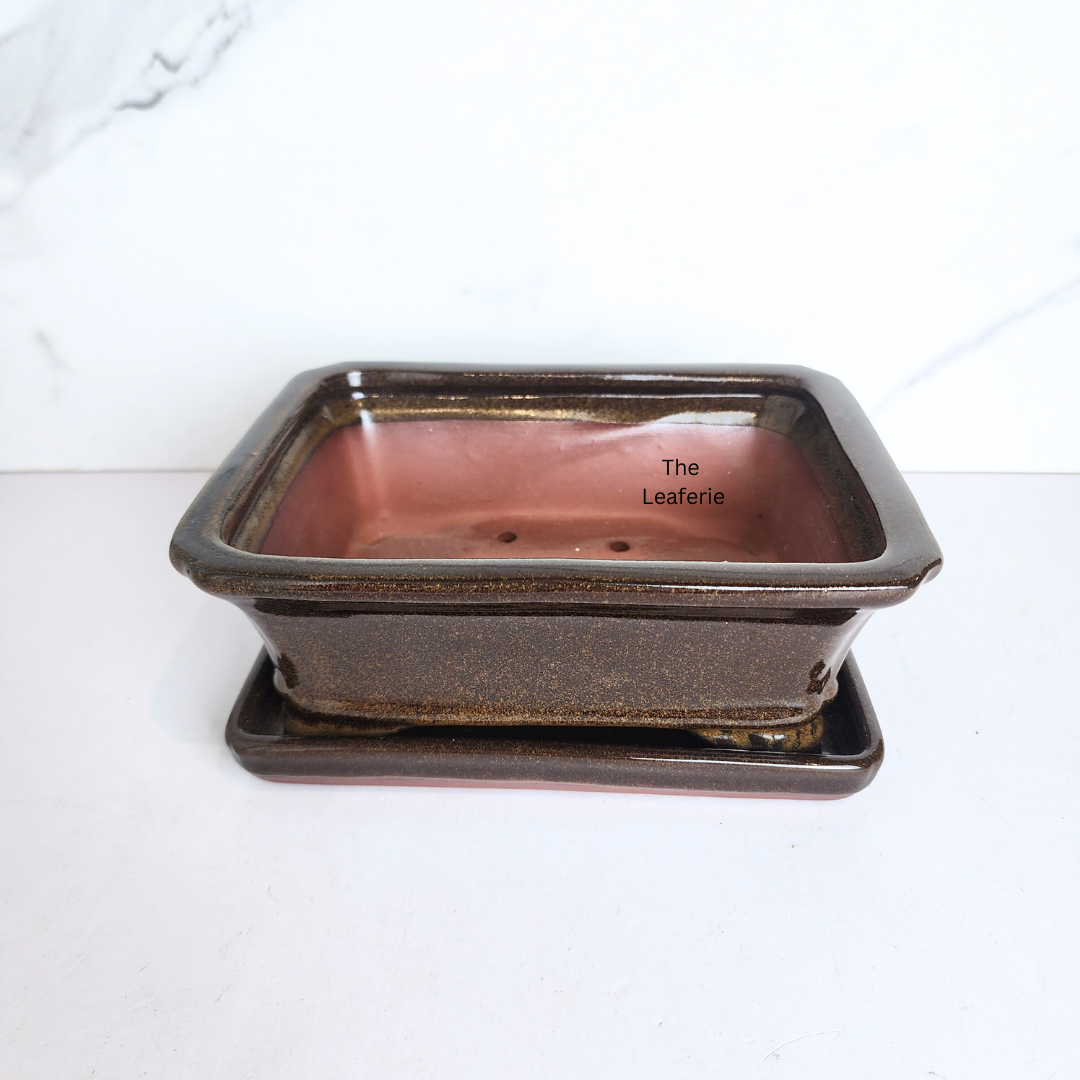 Bonsai Flowerpot (Series 40) with tray