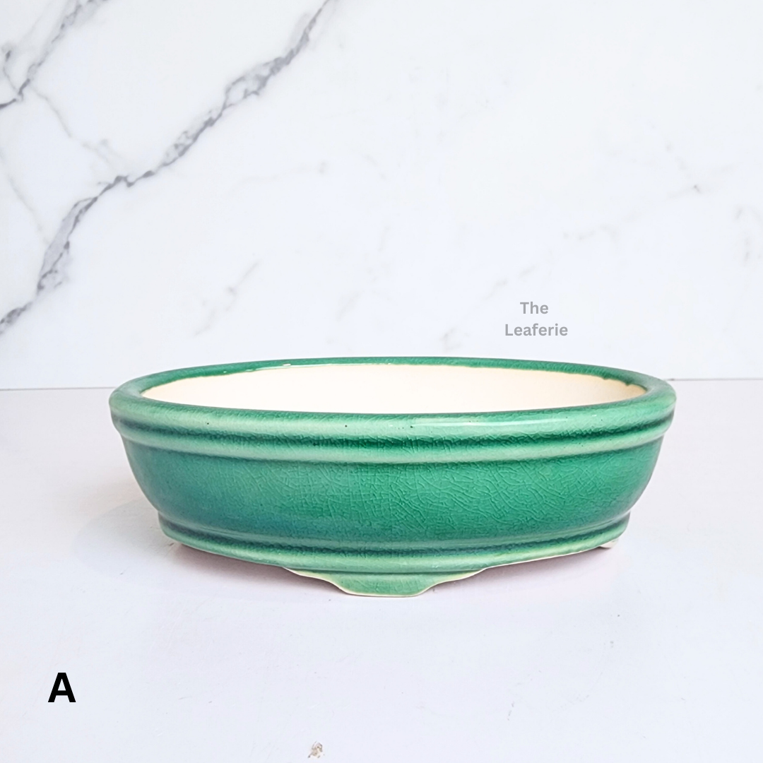 Bonsai Flowerpot (Series 63) Oval