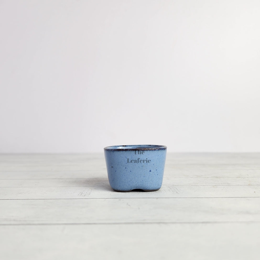 Petit Bonsai Flowerpot (Series 6)