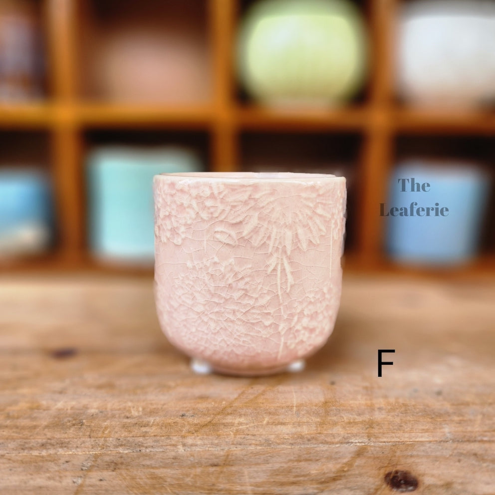 Petit Flowerpots (Series 6)