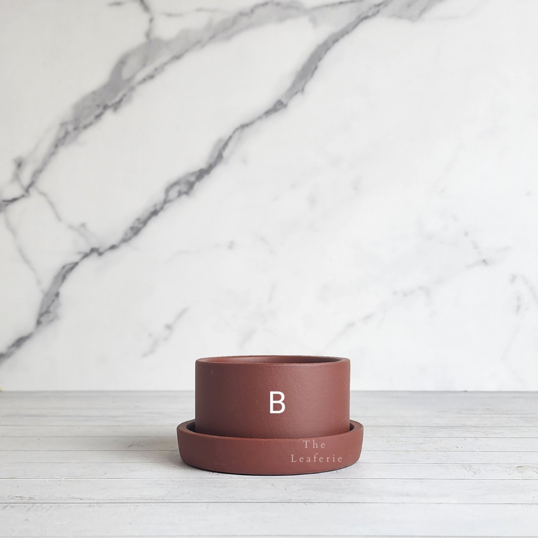 Noemie Mini Flowerpot (Series 2)