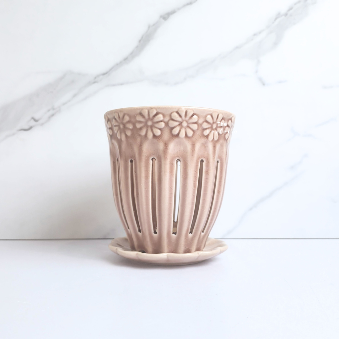 Leia Orchid Flowerpot