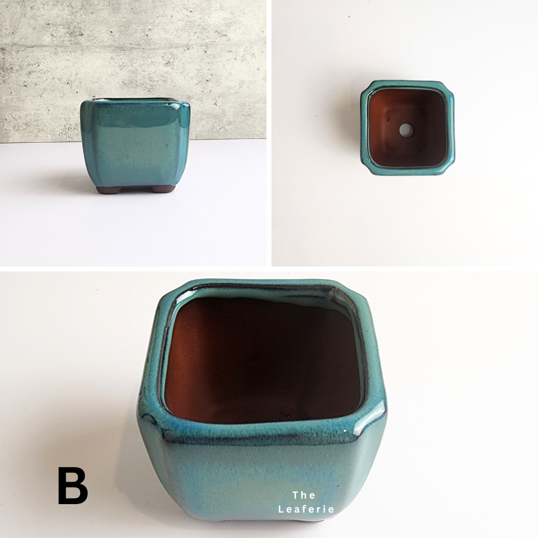 Bonsai Flowerpot (Series 26) Blue Theme